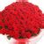 Eternal Love | 100 Red Roses Bouquet | Online Flowers Delivery– Bloomsvilla