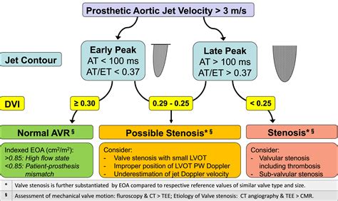 Guidelines for the Evaluation of Prosthetic Valve Function With Cardiovascular Imaging: A Report ...