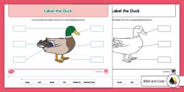 Kindergarten Label the Fox Cut and Paste Worksheet