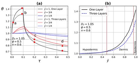 Calculation of Effective Thermal Conductivity for Human Skin Using the ...