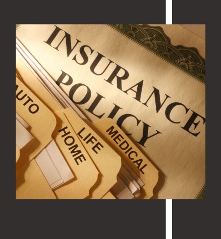 Insurance Types 的图像结果