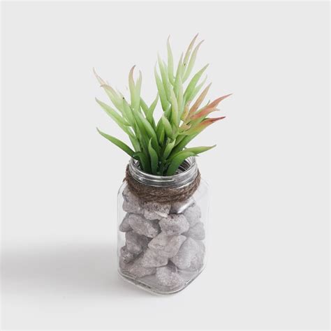 Buy Corsica Eden Artificial Succulent in Glass Jar from Corsica by Home ...