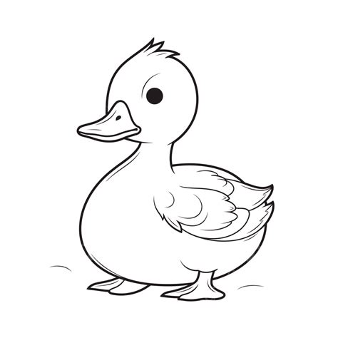 Duck Images For Coloring