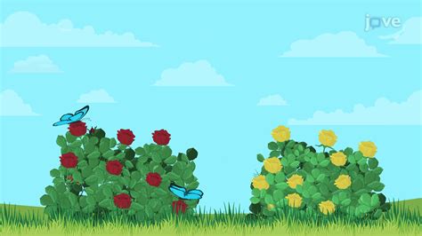 Science Example of Inductive Reasoning 的图像结果