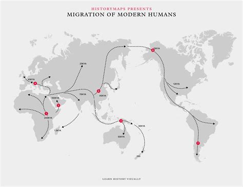 Anatomically Modern Humans 的图像结果