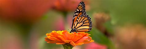 Home | Askew-Houser Funeral Homes Inc.