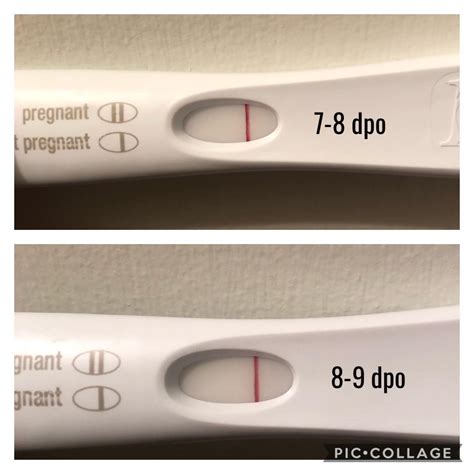 netnet08 (u/netnet08) - Reddit