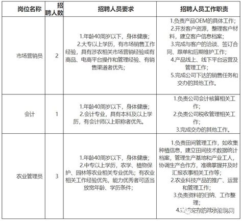 公司各岗位薪酬等级表公布(岗位工资和薪级工资对照表2022)-发迹号