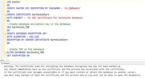Image result for SQL Backup Encryption