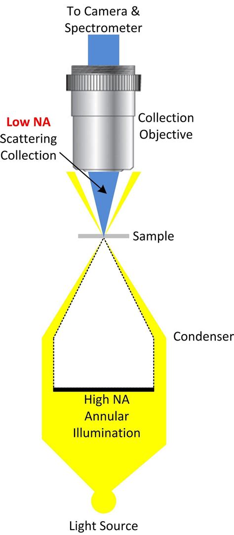 DarkField Microscope 的图像结果