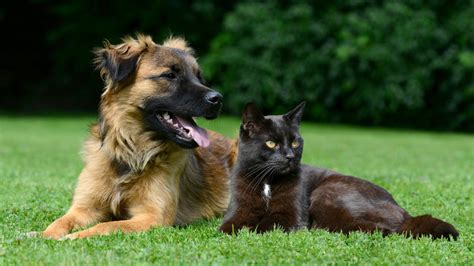 Image result for Animal Behavior Graduate Program