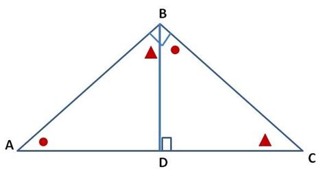 Image result for Similar Triangles Explained