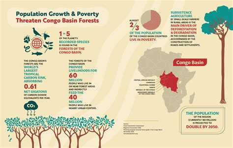 Population growth and poverty threatens Congo basin forest