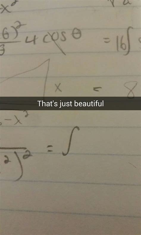 Perfect Integral Sign