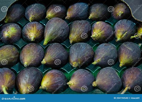 Black Mission Figs or Franciscana Figs High Quality Variety of the ...