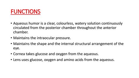 Aqueous Humor Function