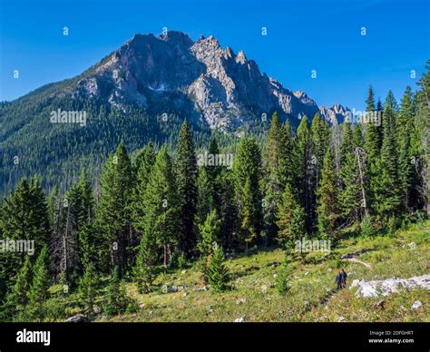 Grand Mogul Peak from the Redfish Lake Creek Trail, Sawtooth National ...
