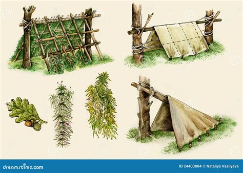 Survive Cartoon 的图像结果