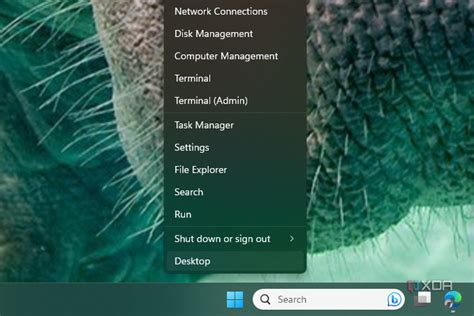 Image result for Check Disk Performance Windows 11