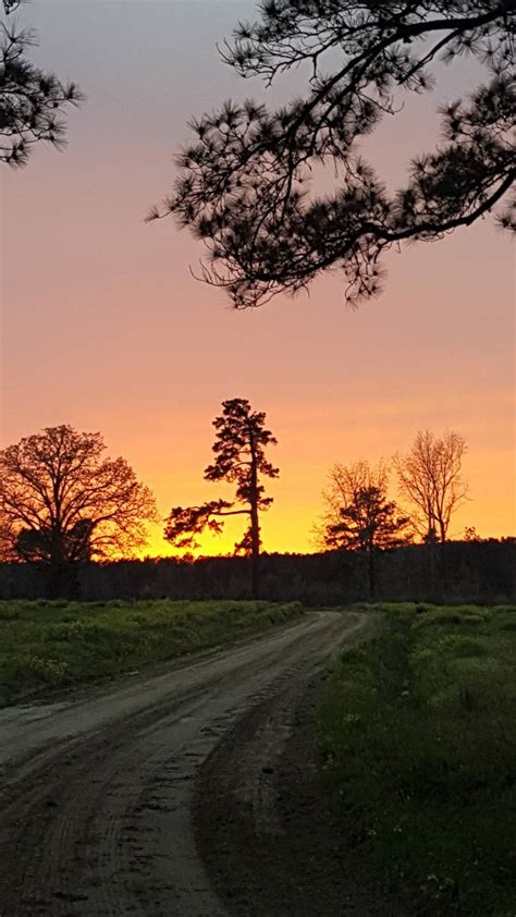 Country Sunset Wallpaper 的图像结果