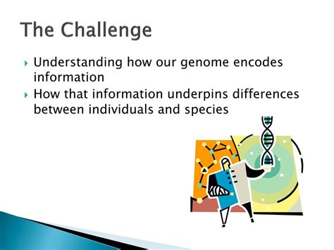 Image result for Encode Project Summary