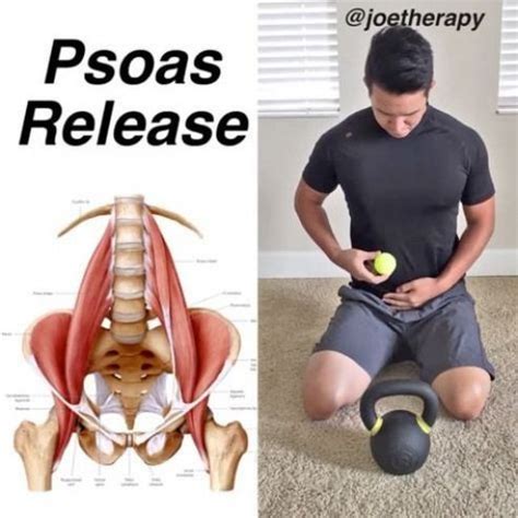 #PsoasRelease | Psoas release, Psoas muscle, Psoas stretch