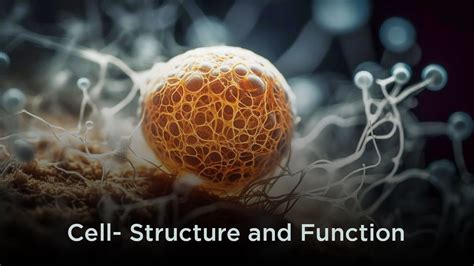 Image result for Cellular Structure and Function