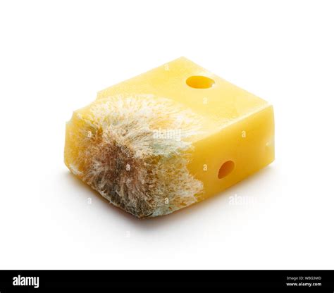 Cheese Mould