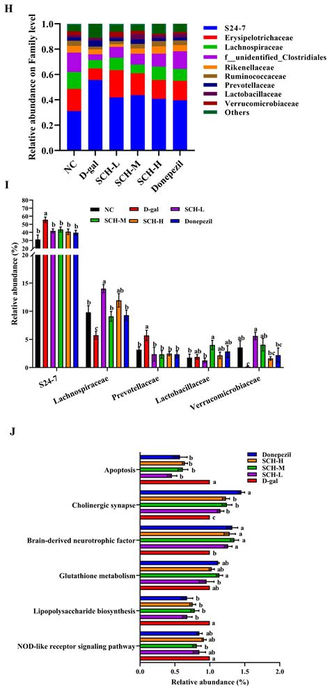 Sea Cucumber Hydrolysates Alleviate Cognitive Deficits in D-Galactose ...