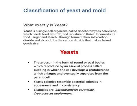 SOLUTION: Classification of yeast and mold - Studypool