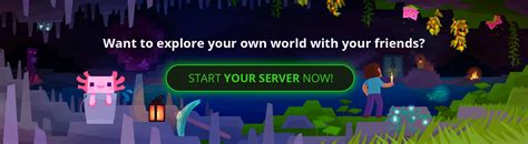 Image result for Making a Minecraft Server