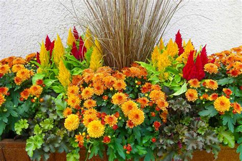 Image result for Homemade Window Box