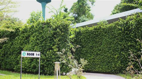 KANVELA RESORT (Kanchanaburi) - Hotel Reviews, Photos, Rate Comparison ...