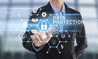 Image result for Role of Data Protection Officer Simple Explanation