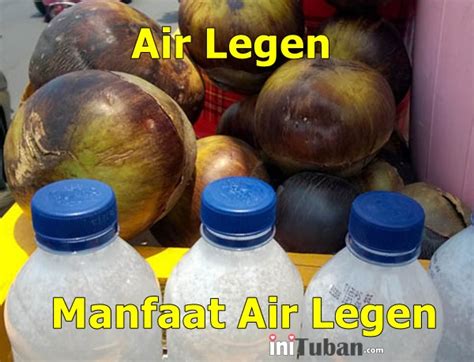 manfaat air legen kelapa