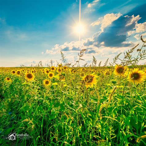 Your 1440 Minutes Today — Dr. Frank M. Kendralla