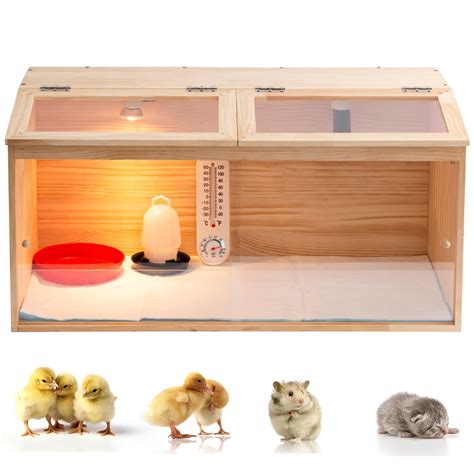 Image result for Large Chicken Brooder