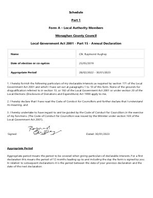 Fillable Online Local Government Act 2001 - Part 15 - Annual ...