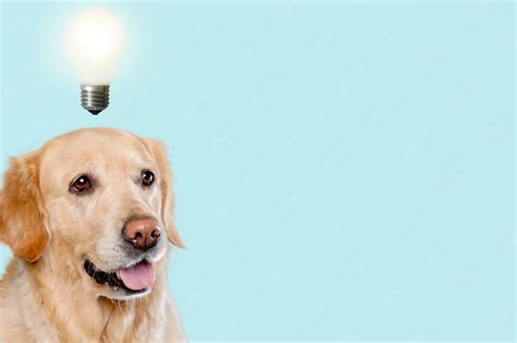 Premium Photo | Smart dog with a light bulb over head. idea concept.