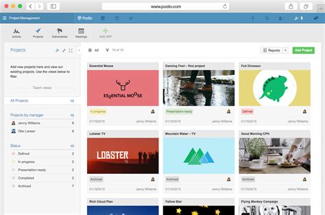 Project Reporting Software 的图像结果