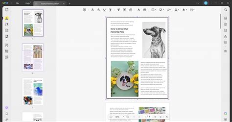 Image result for How to Add a Border to a PDF Using Adobe