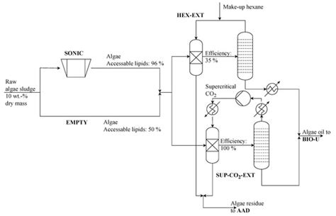 Processes | Special Issue : Biomass Conversion Process and Biorefinery