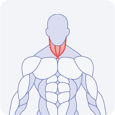 Chest Pain ICD10 Codes Understanding Diagnosis and Treatment
