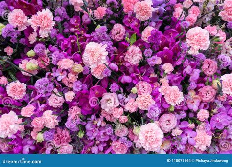 Pink And Purple Flower Backgrounds
