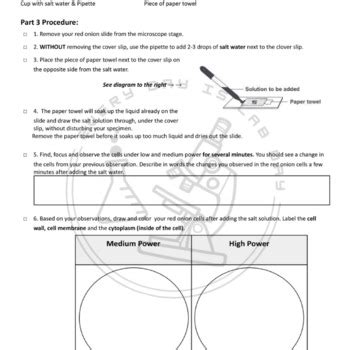Image result for Salt Diffusion