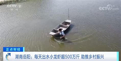岳阳龙虾节开幕，每天出水龙虾400万斤 - 城事 - 新湖南
