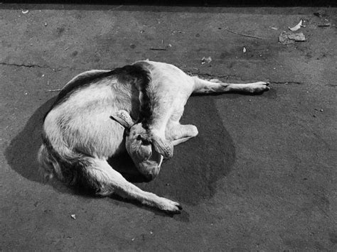 ASAP Art | Sometimes Magic Looks Like This: Narrative Threads in Eight ...