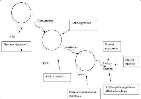 Image result for Example of Biological Process