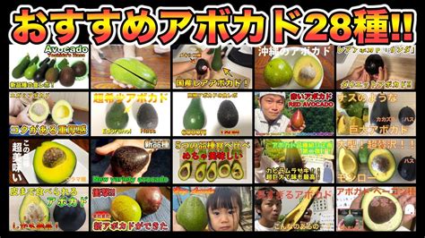 Image result for 4th Grade Standard Algorithm Examples