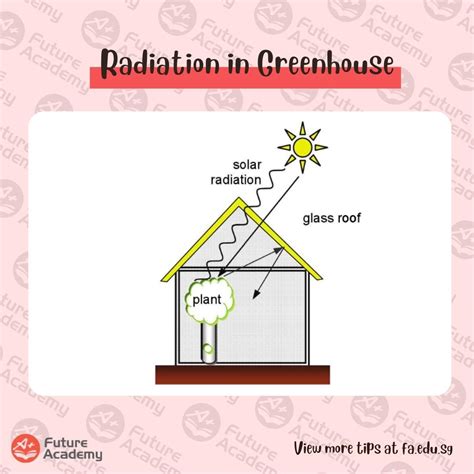 Radiation Example 的图像结果